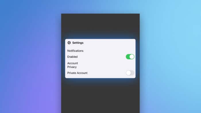 SwiftUI GroupBox settings interface in the iOS simulator