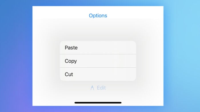 SwiftUI Menu edit actions example in the iOS simulator