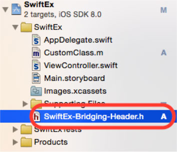 Parse Swift Xcode File Navigator