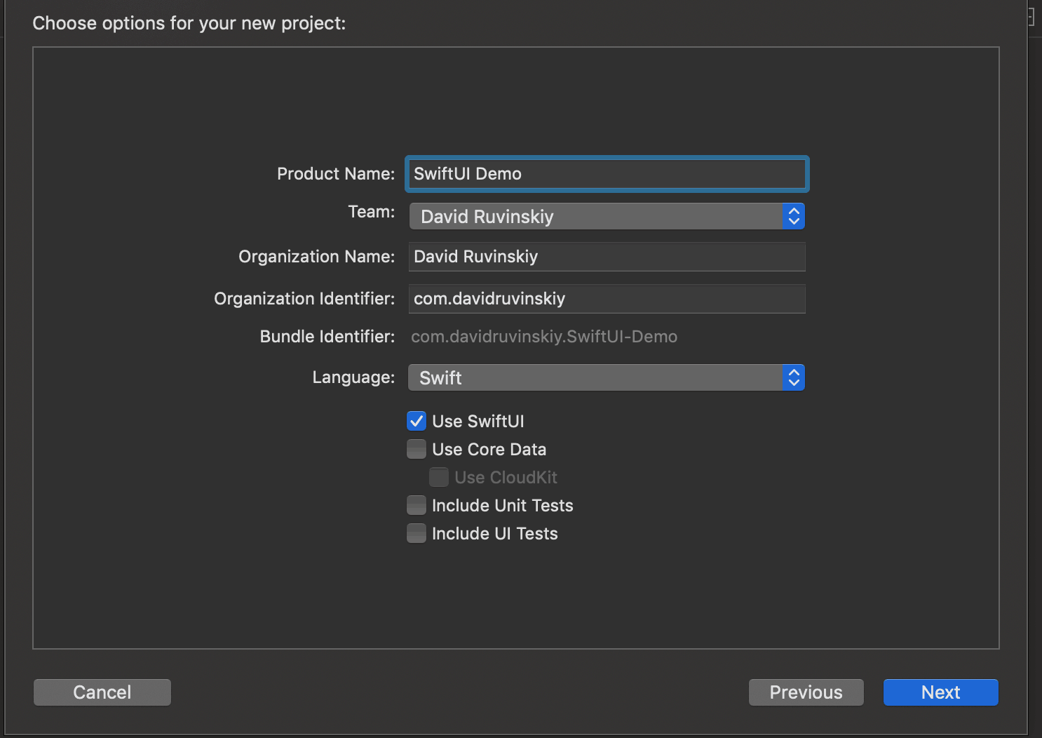 SwiftUI Xcode New Project Setup Dialog Box